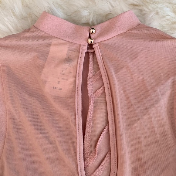 🎉 Sale New Windsor Mauve Pink Long Sleeve Mesh See Thru Dress - Picture 9 of 10